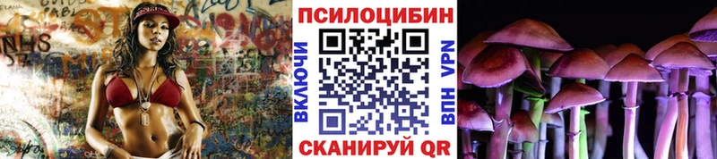 Псилоцибиновые грибы Cubensis  блэк спрут онион  Кондопога 
