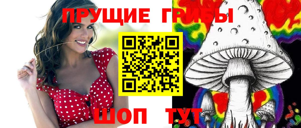 купить   Вход с VPN  Кондопога  Галлюциногенные грибы Cubensis 